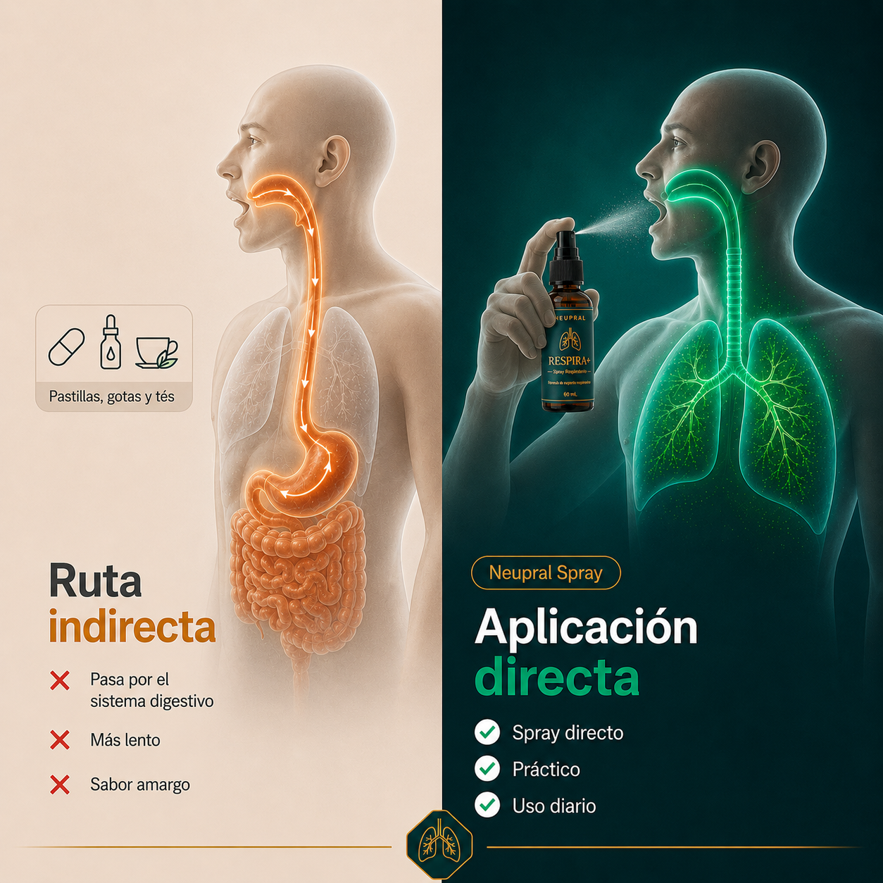 Spray Limpiador pulmonar |  Limpiá tus pulmones en 30 días